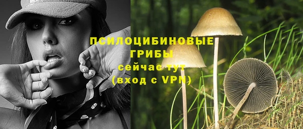ALPHA PVP Алзамай