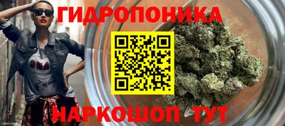 мяу мяу мука Отрадное